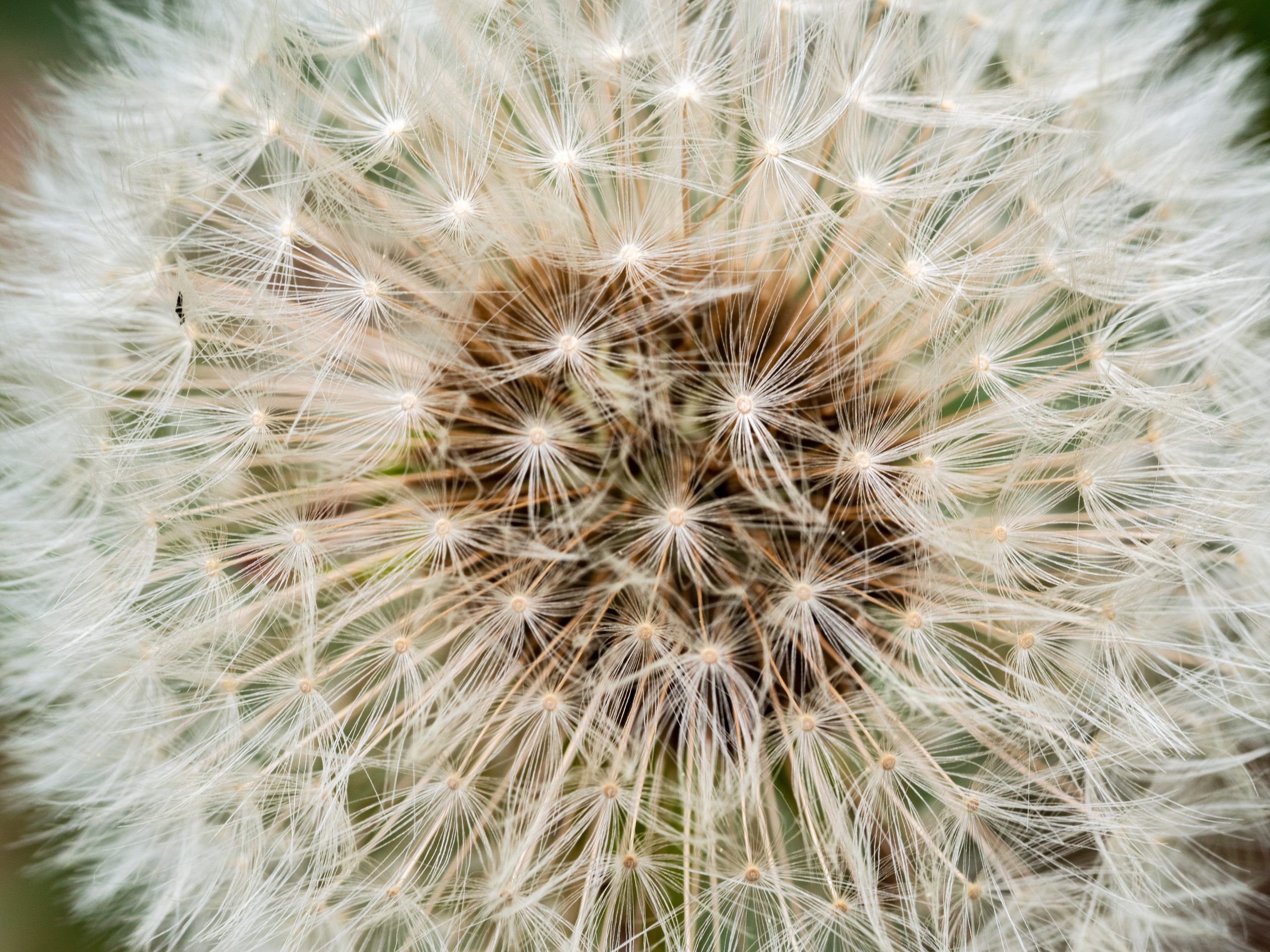 Sonnenschirm Ludwigsburg